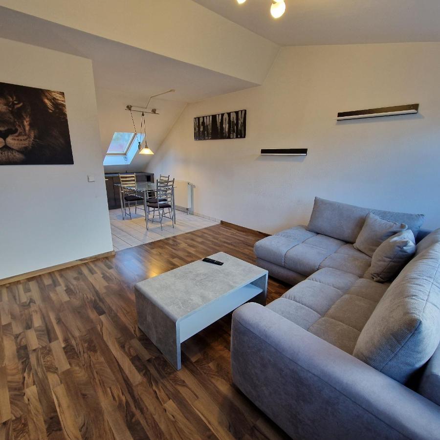 Dm Hotels & Apartments - Apartment Dosborn 5-9 Dingelstadt المظهر الخارجي الصورة
